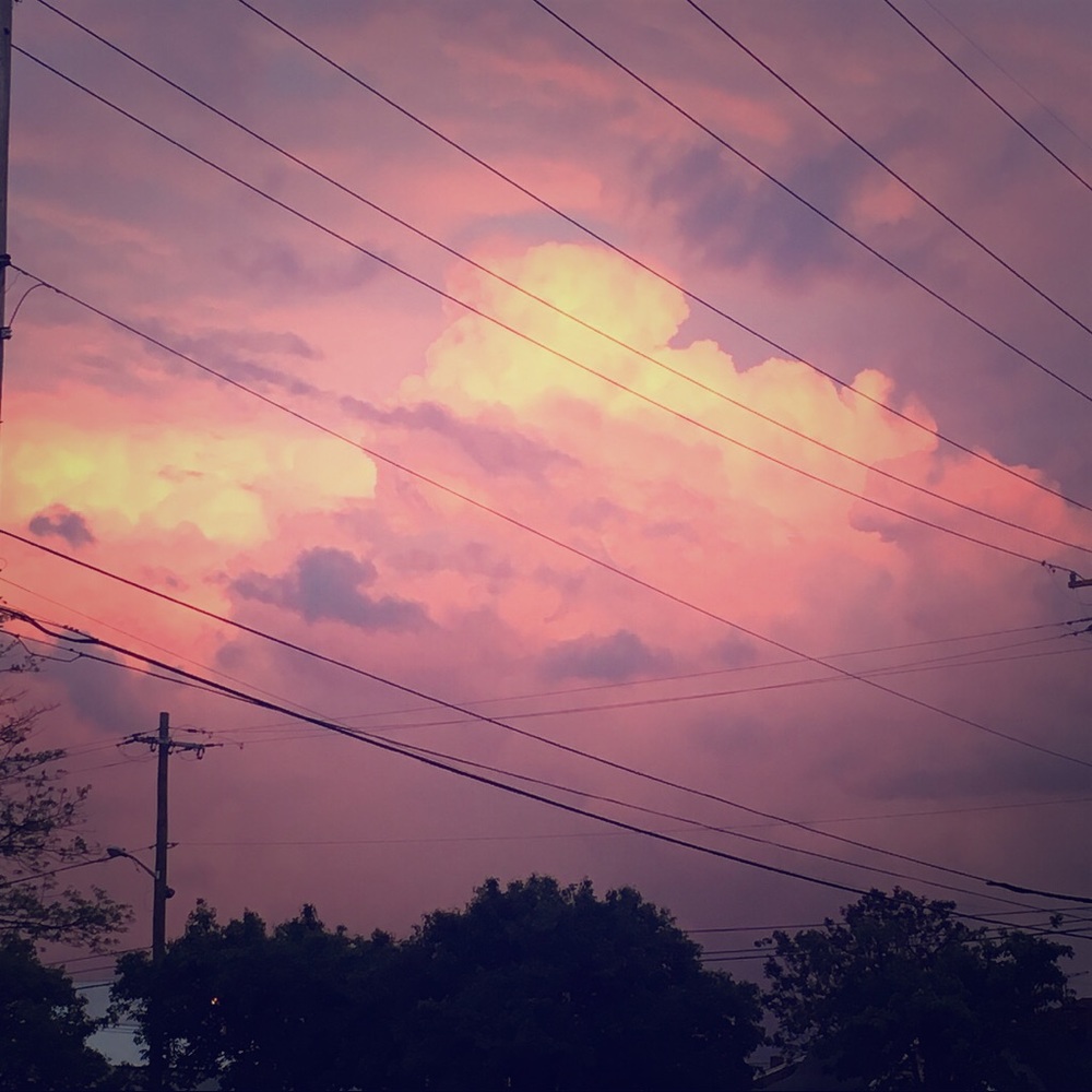 Meet your Posher, Maddie